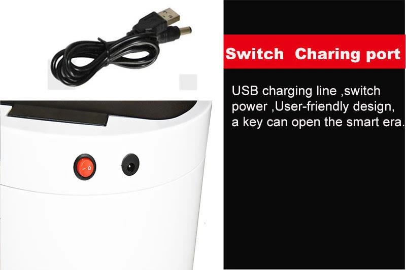 Switch Charing port 